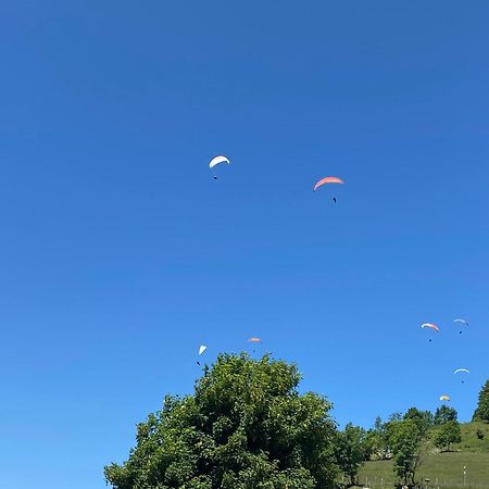 Epagny Metz-Tessy Chalet Le Pre De La Dame מראה חיצוני תמונה